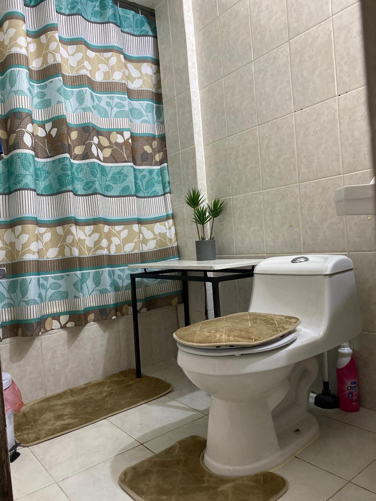סנטיאגו Departamento En Providencia Casa Roman מראה חיצוני תמונה